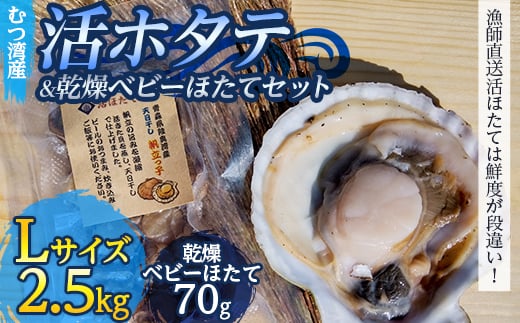 
むつ湾で獲れた活ホタテ Lサイズ 約2.5kg ＋ 天日干し帆立っ子 70gセット【活ほたて本舗】 ホタテ ほたて 帆立 活ホタテ 生ほたて 生ホタテ 刺身 殻付き 海鮮 新鮮 貝 貝柱 天日干し ベビーホタテ おつまみ 酒の肴 魚介 青森 青森県 東北 むつ湾 陸奥湾 BBQ バーベキュー キャンプ F21J-095
