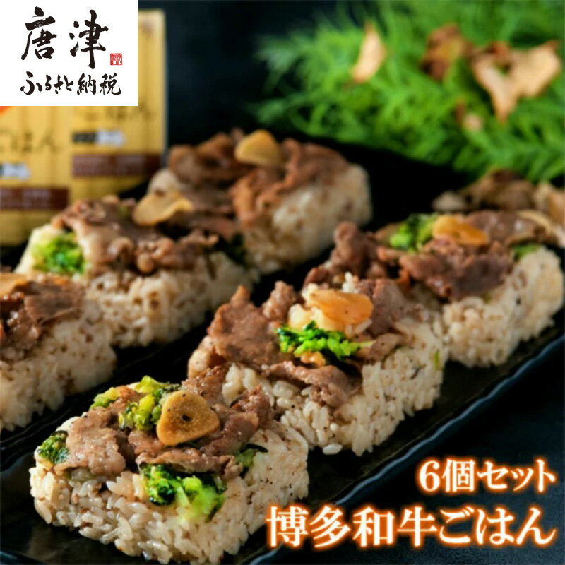 【ふるさと納税】(一粒庵)博多和牛ごはん 125g×6食セット 簡単 調理 個食 小分け お手軽 牛肉 ギフト「2025年 令和7年」