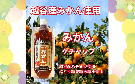 No.247 【フルーツケチャップ】苺、メロン、みかんの3種類セットレシピ付き