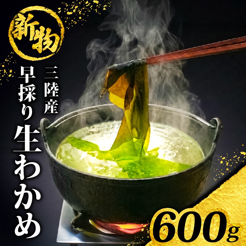 【先行予約】 早採り生わかめ 新物 600g(200g×3袋) 期間限定 ★2026年1月～発送予定★ わかめ 早採りわかめ 生わかめ 三陸 漁師わかめ 小分け 若芽 湯通し 海藻 海産物 味噌汁 ごはん 夕飯 おかず 小分け 個包装 しゃぶしゃぶ サラダ お刺身 刺し身 刺身 綾里 岩手県 国産 大船渡
