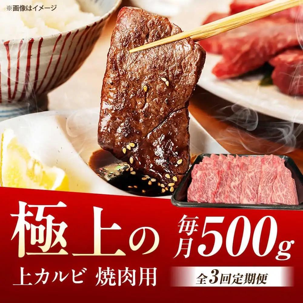 【3回定期便】佐賀牛 上カルビ 焼肉用 500g /MKミート武雄[UEM050] 焼肉用