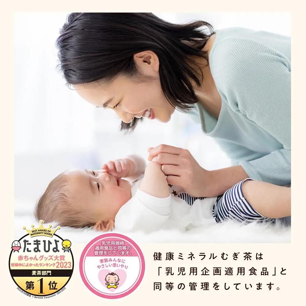 伊藤園　健康ミネラル麦茶　650ml×24本【１ケース】