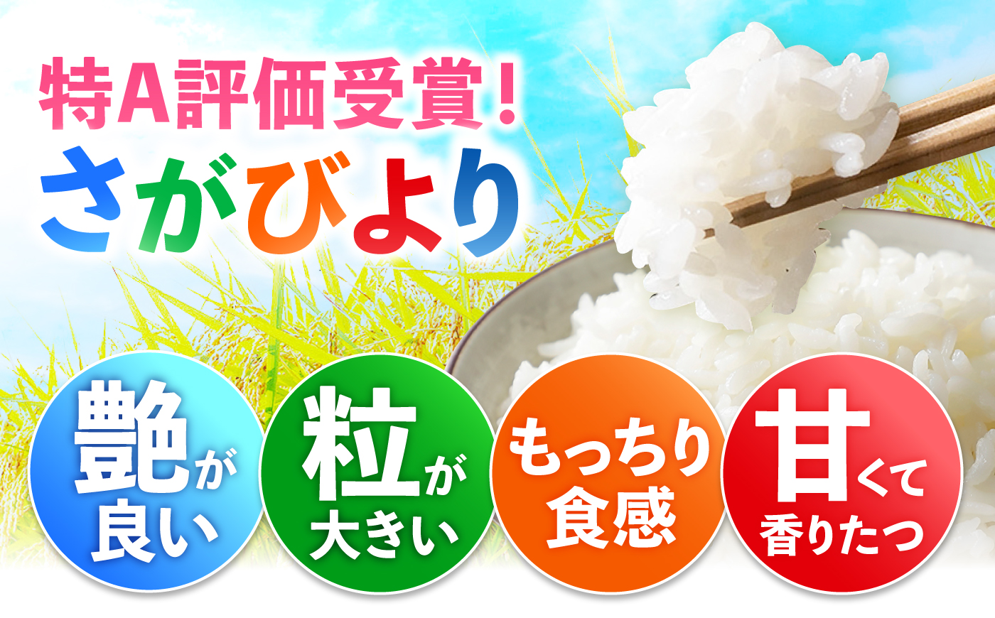 五つ星お米マイスター厳選！さがびより 無洗米 5kg 吉野ヶ里町/大塚米穀店 [FCW047]