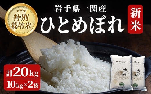 
            ＜新米先行予約＞令和7年産 特別栽培米 ひとめぼれ 20kg 清流が育んだお米 げいび清流米
          