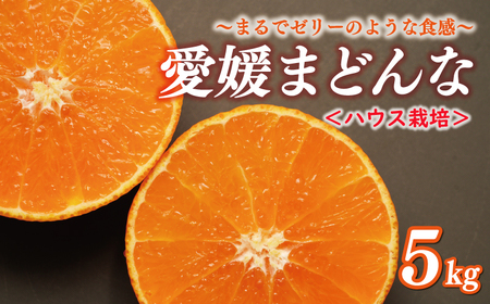 【紅まどんなと同品種】 まどんな 5kg 前田ファーム