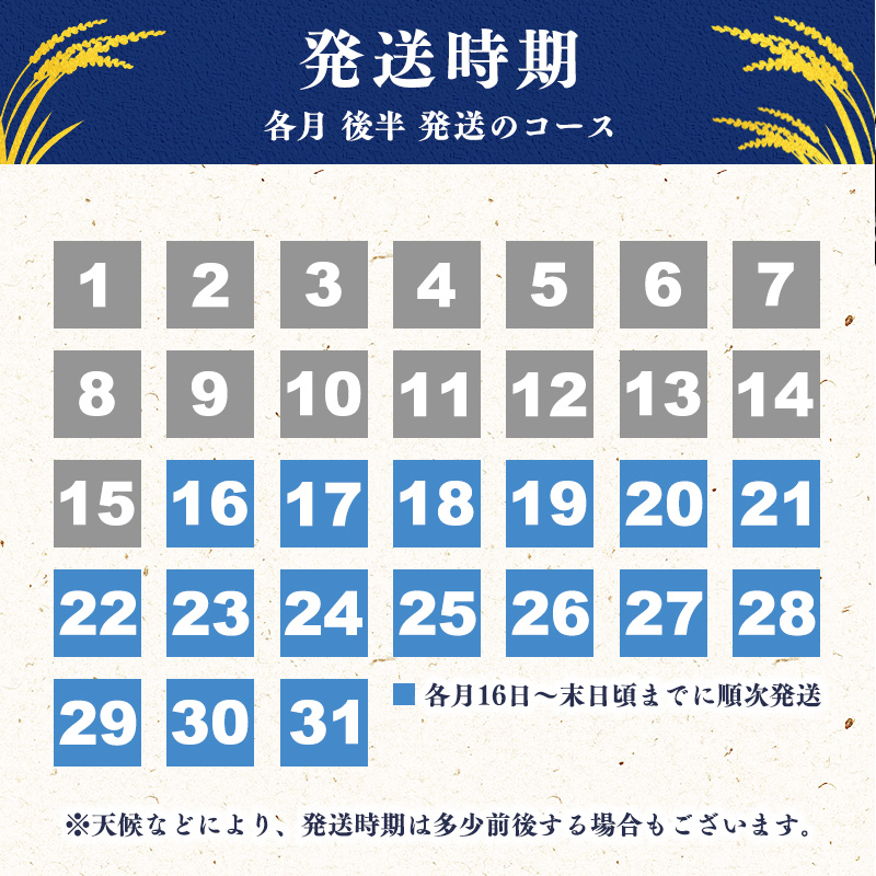 【2026年5月下旬】令和7年産 はえぬき 20kg（5kg×4袋）清流寒河江川育ち 山形産はえぬき 2025年産　067-C-JA011-202605下 2026年5月下旬 発送コース