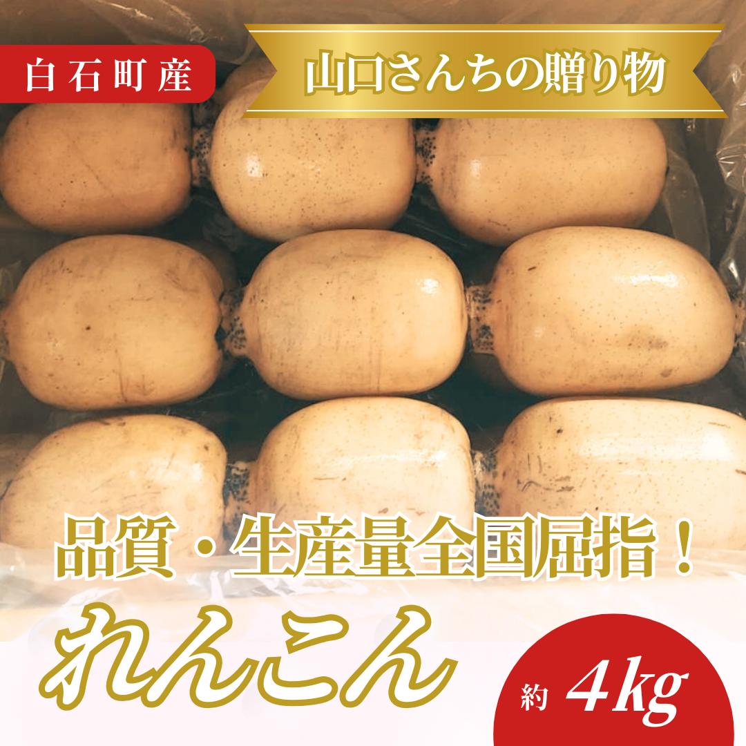 
                  れんこん 4kg
                