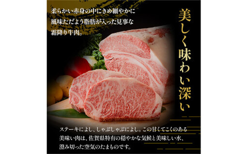 T31x1 佐賀牛 厳選！6回定期便 偶数月コース 【2月・4月・6月・8月・10月・12月発送】 佐賀牛 ブランド牛 国産牛 牛肉 肉 赤身 赤身肉 佐賀県 太良町