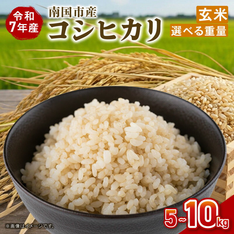 【ふるさと納税】 令和7年度 南国市産 コシヒカリ 玄米 5kg 期間限定 数量限定 米 コメ お米 ご飯 おにぎり こめ 弁当 高知県 南国市