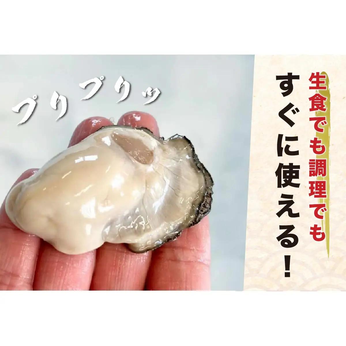 厚岸産 むいたよ！ ダブルえもん 100g×2パック 牡蠣 牡蠣のむきみ むき牡蠣 北海道 食べ比べ セット