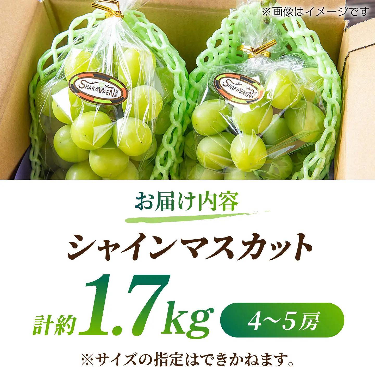 【訳あり】 シャインマスカット 約1.7kg(4～5房)【合同会社 社方園】[ZBZ031]