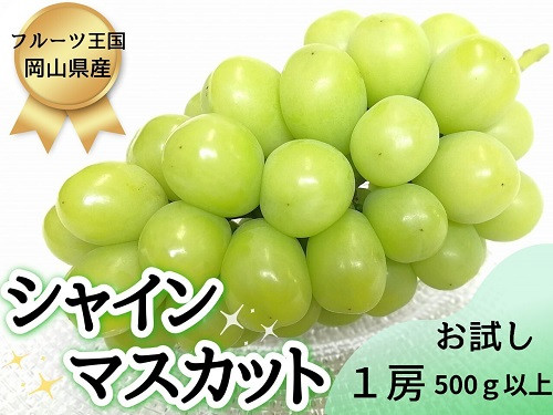 
HF-9.【お試し】フルーツ王国岡山シャインマスカット500ｇ以上！　朝採れぶどう１房
