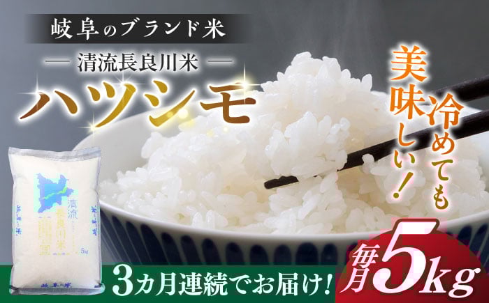 
            【3回定期便】【11月発送】【R7年産】岐阜 ハツシモ 5kg 名水 100選に選ばれた 長良川 中流の水で育った 「清流長良川米」 すし飯 冷めても美味しい 米 岐阜市 / 森ライス [ANCU005]
          