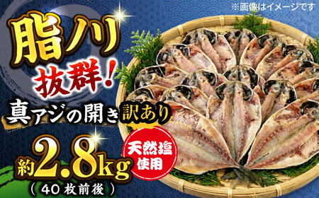 【訳あり】干物 真アジの干物 約2.8kg（40枚前後） [AKCX001]