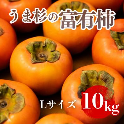 ふるさと納税 瑞穂市 うま杉の富有柿 L (岐阜県瑞穂市産富有柿)