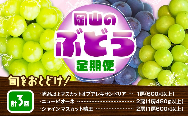 【2026年先行予約】【3回定期便】ぶどう 定期便 計3回コース 岡山県産 シャインマスカット 晴王 ニューピオーネ マスカットオブアレキサンドリア 化粧箱入り 株式会社山博《2026年7月上旬-9月末頃出荷》岡山県 笠岡市 フルーツ 果物 定期 ぶどう マスカット【配送不可地域あり】---Y-40a---