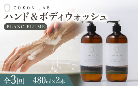 【全3回定期便】COKONLAB ハンド＆ボディウォッシュ ブランプリュム480ml×2本【株式会社 あつまるホールディングス NSP山鹿工場】化粧品 コスメ 美容 国産 ボディケア ハンドケア [ZBR021]