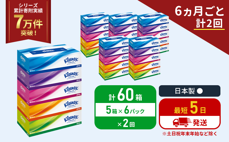 定期便 ティッシュ クリネックス ティシュー 5箱入×6パック《6ヶ月ごと計2回》 ティッシュペーパー セット 柔らかい 節約 日用品 日用雑貨 備蓄 備蓄品 備蓄用 防災 災害 ボックスティッシュ テッシュ ペーパー 宮城 岩沼市