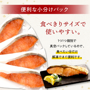 【2025年10月以降発送】えりも【マルデン特製】北海道産定塩鮭切り身 10切【er002-101-a】鮭 秋鮭 塩鮭 白鮭 ブランド魚 個包装 北海道産 魚介 焼き魚 ムニエル 切身 大容量 真空パ