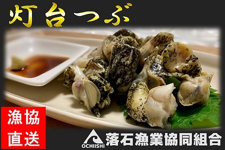 【北海道根室産】灯台つぶ200g×2P(計400g) G-20002