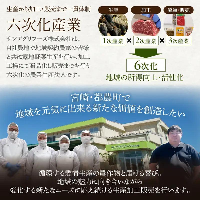 FRESH HABANERO(ハバネロ)計2瓶 漬物 おかず 野菜 加工品 国産_T025-0475