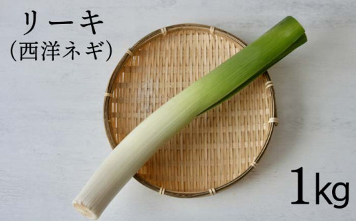 岩手県産 リーキ 1kg 【みのり風土】 ／ 西洋ねぎ ポロネギ  ポワロ ポロ ポアロ リーク 西洋葱 西洋ネギ 長ねぎ 長ネギ 香味野菜 新鮮 希少野菜 産地直送 国産 八幡平市産 産地直送 農家直送 期間限定 野菜