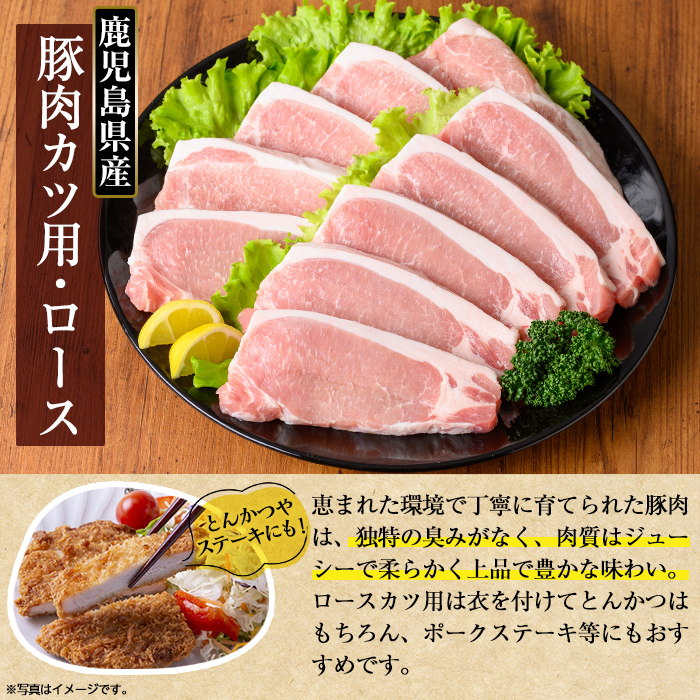 K-311 鹿児島県産 豚肉ロースカツ用(合計30枚セット)【TRINITY】霧島市 国産 冷凍 小分け 豚肉 ぶた ブタ 肉 ロースカツ