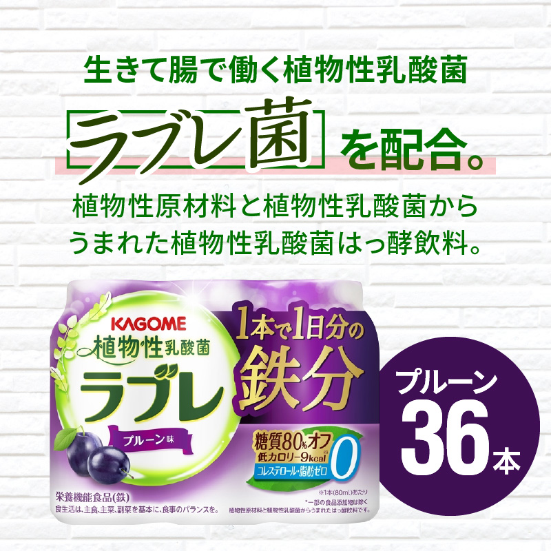 植物性乳酸菌ラブレ　1日分の鉄分36本