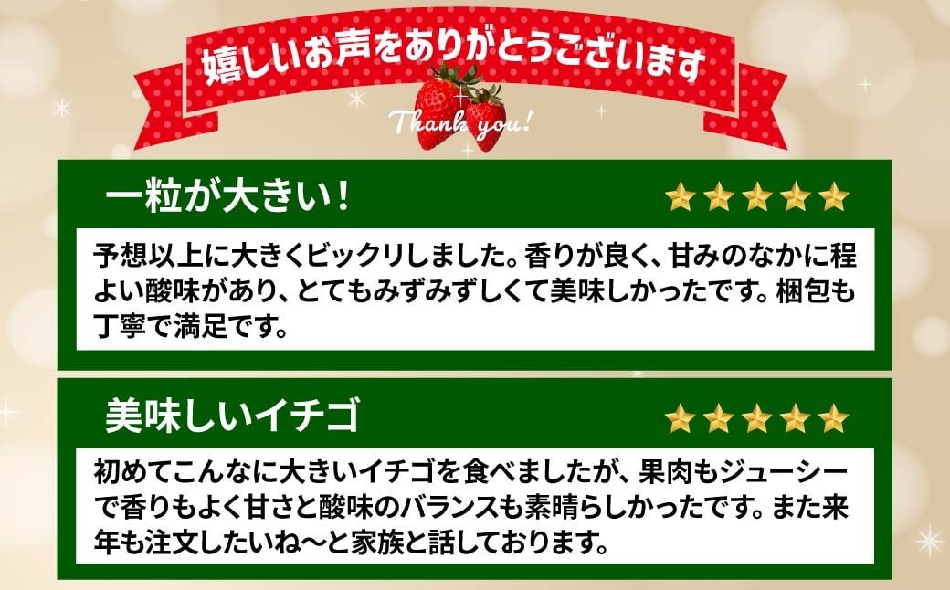 いちご やよいひめ (贈答用) 約800g 群馬県いちご品評会最高金賞受賞