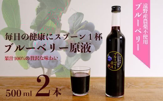 【農薬不使用】遠野のブルーベリーから絞った原液2本セット【道の奥ファーム】
