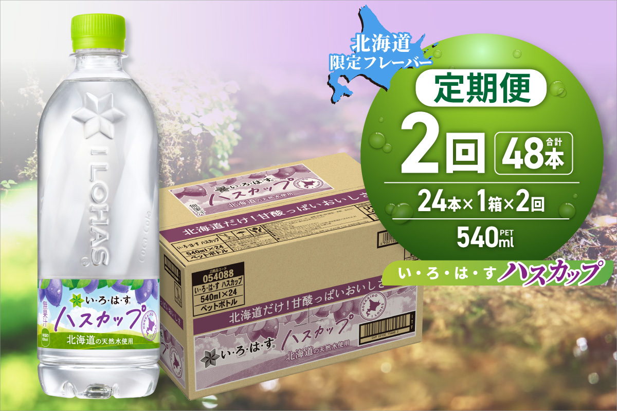 【２ヶ月定期便】い・ろ・は・す ハスカップ　540mlPET×24本｜コカ・コーラ 北海道限定 フレーバー 飲料  水 いろはす 北海道 札幌市