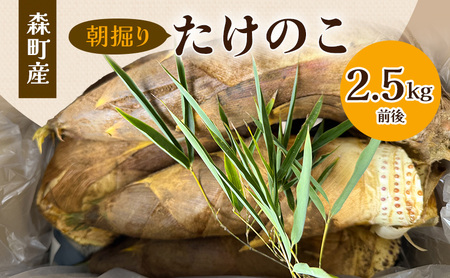 たけのこ 2.5kg 朝掘り 旬 新鮮 たけのこ