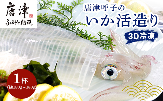 『先行予約』唐津呼子産いか活造り 1杯(約150g～180g)  急速冷凍 新鮮そのまま食卓へ！イカ 刺身 簡単 ギフト 海鮮※水揚げあり次第6月以降順次発送させていただきます。