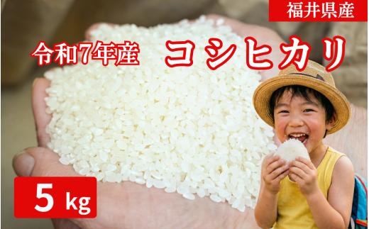 【ふるさと納税】【令和7年産】【勝山市産】農業人生60年小林さんのコシヒカリ 精米 5キロ / 選べる お米 米 ご飯 ブランド米 こしひかり 白米 精米 国産 北陸 福井県産 勝山市[A-102001]