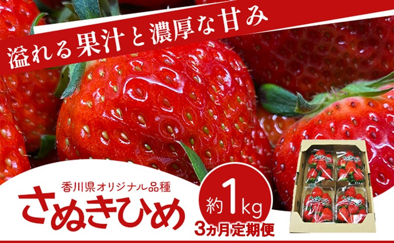 いちご 定期便 3ヶ月 3回 さぬきひめ さぬきひめいちご 約1kg 250g × 4パック 香川県産 讃岐 苺 イチゴ ストロベリー 大粒 大粒いちご おむすび型 糖度 酸味 果物 フルーツ くだもの 2月発送 3月発送 4月発送 香川県 東かがわ市
