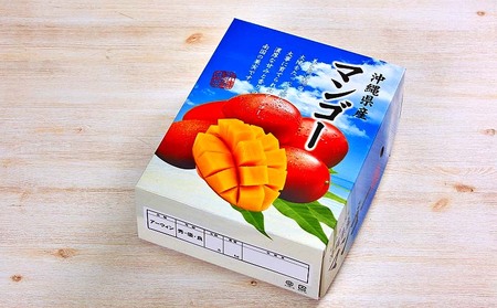 マンゴー【2026年発送先行予約】アップルマンゴー秀品2kg以上