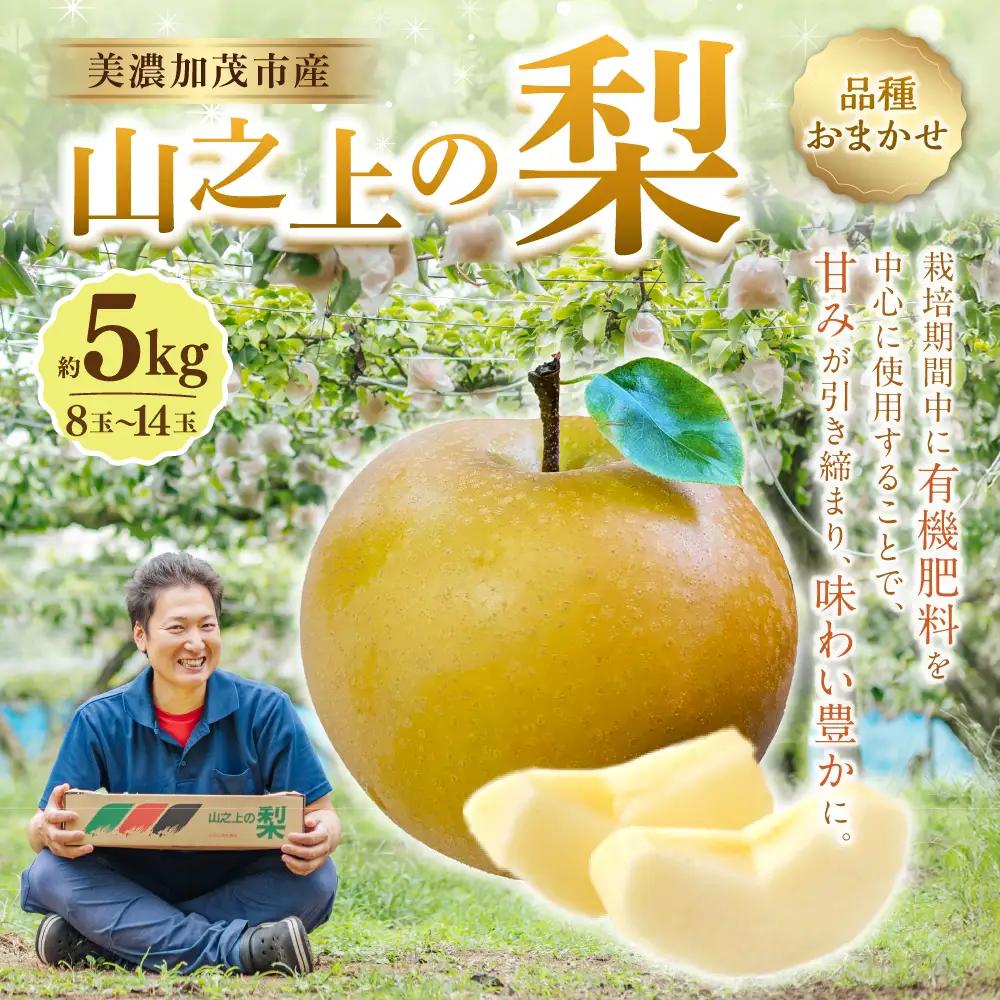 【ふるなびWEEK対象】《先行予約》 山之上の梨 （ 品種はおまかせ ） 約5kg （ 8～14玉 ） 【2026年8月下旬～10月上旬発送予定】