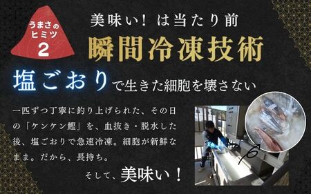 カツオ すさみケンケン鰹 【10月以降順次発送】約500g～600g【scp001A】