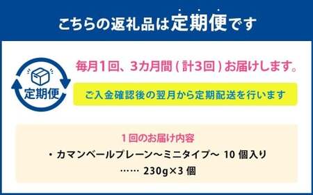 【3回定期便】カマンベールプレーン ～ミニタイプ～ 10個入り×3セット 合計90個 3回 カマンベール カマンベールチーズ チーズ 手造り 個包装 花畑牧場 定期便 北海道 中札内村 冷蔵 [002