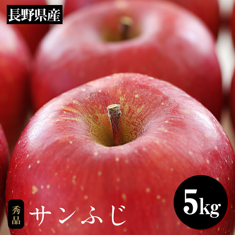 【ふるさと納税】太陽の光をたっぷりと浴びた 長野県産 りんご サンふじ 約5kg 秀品 ＜2025年11月下旬〜12月中旬発送＞ | 果物 くだもの フルーツ りんご リンゴ 林檎 長野県 信州 南信州 飯田市 B10