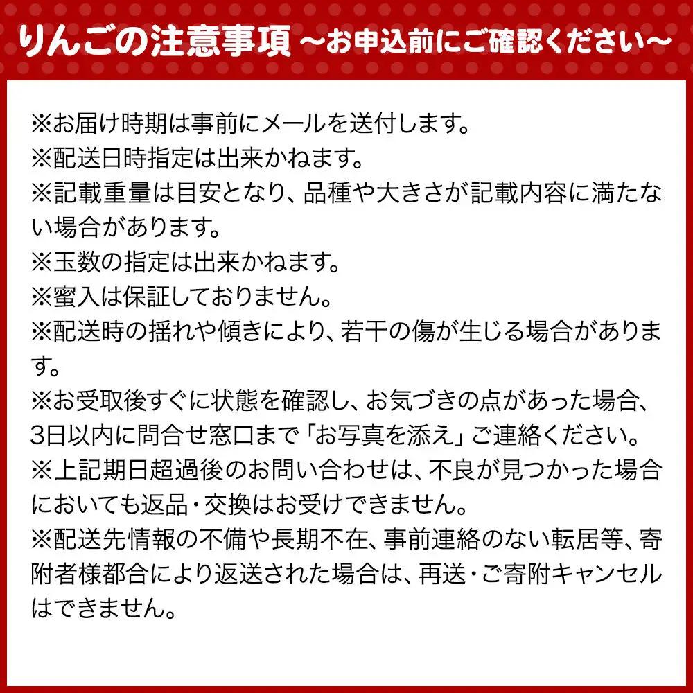 りんご 早生ふじ 訳あり 約10kg【11月発送】りんご