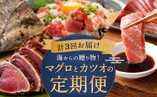 
                  定期便 3回 海からの贈り物 ｜ マグロ カツオ 定期便 海鮮 鮪 鰹 セット カツオのたたき ネギトロ 中トロ 刺身 冷凍 魚 海産物 魚介類 まぐろたたき 藁焼き わら焼き 訳あり わけあり ふるさと納税 定期便 美味しい 惣菜 タカシン定期便 まぐろ定期便 かつお定期便 定期便海鮮 人気定期便 魚介定期便 ランキング お楽しみ 海鮮定期便 3ヶ月 定期便 バラエティ 頒布会 高知県 室戸市
                