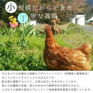 【卵 定期便６か月】赤岩高原たまご 40個×6か月 合計240個（特選）