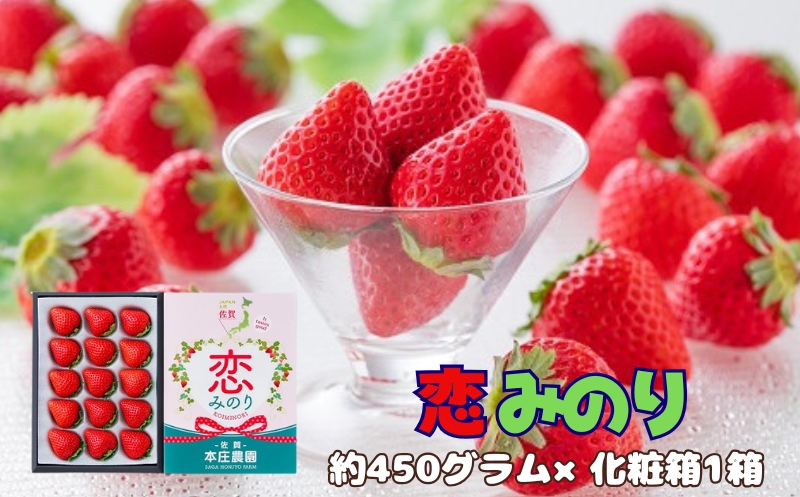 【贈答品】 特別栽培 イチゴ 恋みのり 化粧箱 （450g）×1箱 12月下旬～4月発送 苺 いちご フルーツ 果物 贈答 ギフト プレゼント 佐賀県 佐賀市：B145-030 化粧箱（約450g）1
