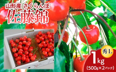 山形産 さくらんぼ 佐藤錦 L 1kg(500g×2パック入) 【令和7年産先行予約】FU18-863 くだもの 果物 フルーツ 山形 山形県 山形市 2025年産