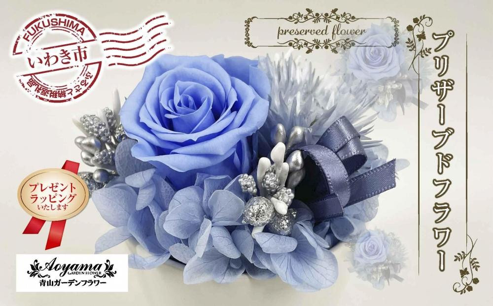 
            【ギフト用プレゼントラッピング】青山ガーデンフラワー　プリザーブドフラワー　ポットアレンジブルー
          