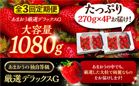 【先行予約】【全3回定期便】あまおう 厳選デラックスG 1080g (270ｇ以上 × 4 パック) 土耕栽培《豊前市》【内藤農園】果物 いちご [VAB022]