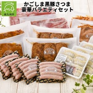 かごしま黒豚さつま豪華バラエティセット【配送不可地域：離島】【1185799】