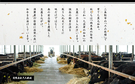 福島県二本松市産 黒毛和牛ローストビーフ計400g ソース付 福島県二本松市産 黒毛 和牛 肉 牛肉 国産牛 赤身 グリル 低温調理 エム牧場 人気 おすすめ ギフト 故郷 ふるさと 納税 福島 ふく