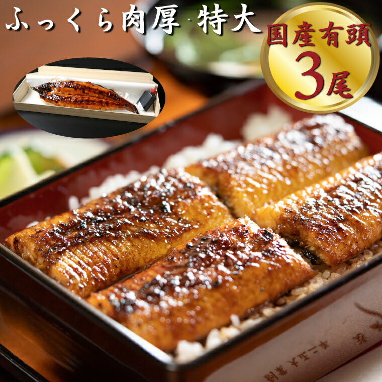 【ふるさと納税】＜うなぎ専門店「大正軒」の蒲焼き 有頭 特大3尾 約600g 7.5人前＞ 鰻 ウナギ 贈答用 関西風 国産 手焼き【冷蔵】高知県 佐川町 ふっくら 肉厚　＜最大5ヶ月待ち・日付指定不可＞